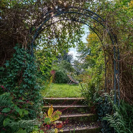 La Colline Aux Oiseaux *