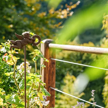La Colline Aux Oiseaux *