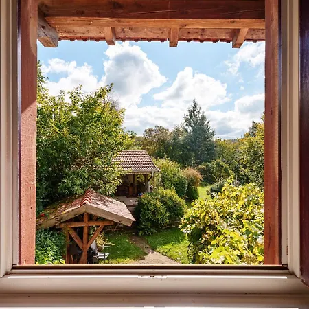 La Colline Aux Oiseaux Tieffenbach