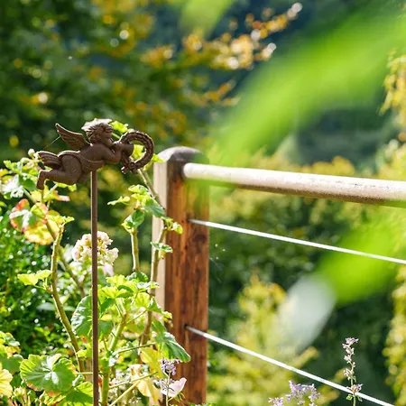 La Colline Aux Oiseaux * Tieffenbach