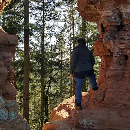 Prázdninový dům La Colline Aux Oiseaux Tieffenbach