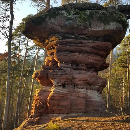 La Colline Aux Oiseaux Prázdninový dům *