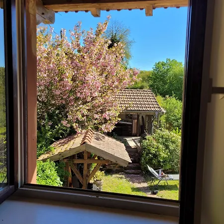 Prázdninový dům La Colline Aux Oiseaux Tieffenbach